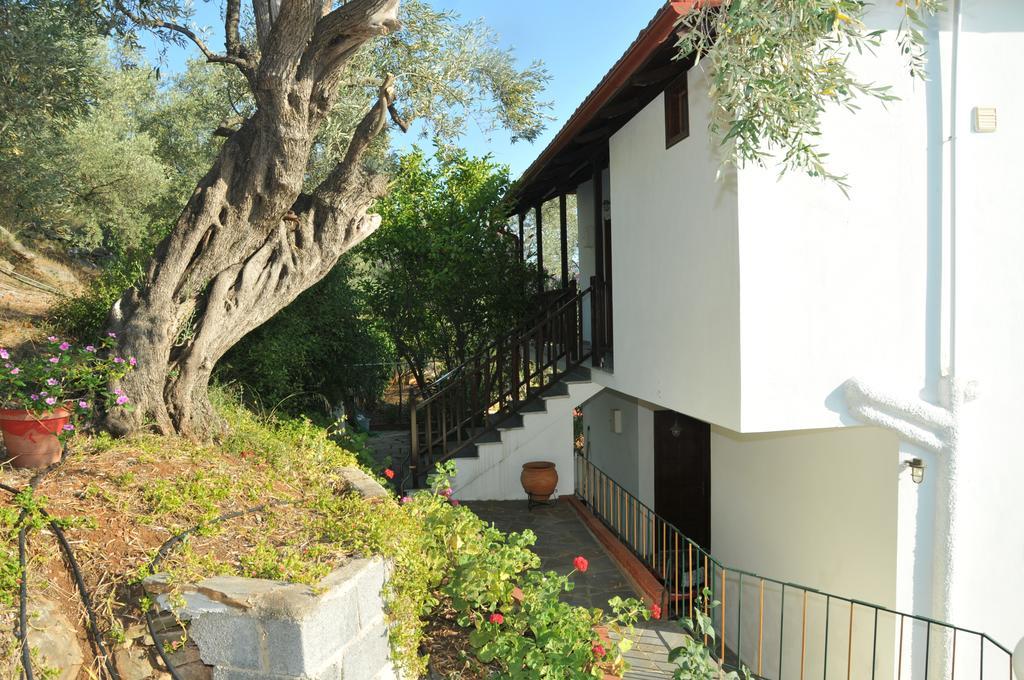 Violetta Studios&Apartments Milína Esterno foto